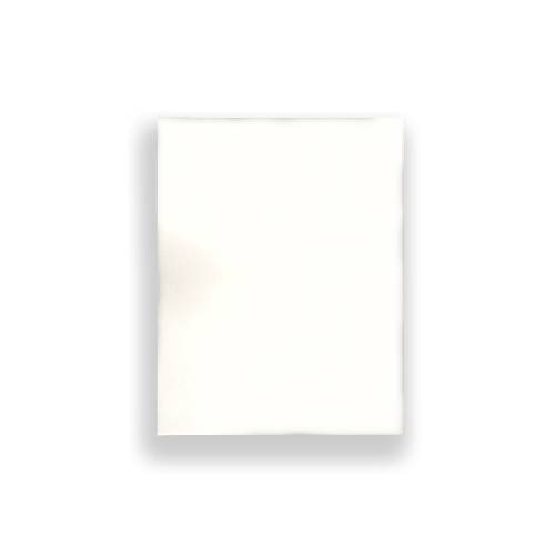 Próbka płyta meblowa EGGER BIAŁY ALPEJSKI W1100 ST9 18 mm 250 x 200