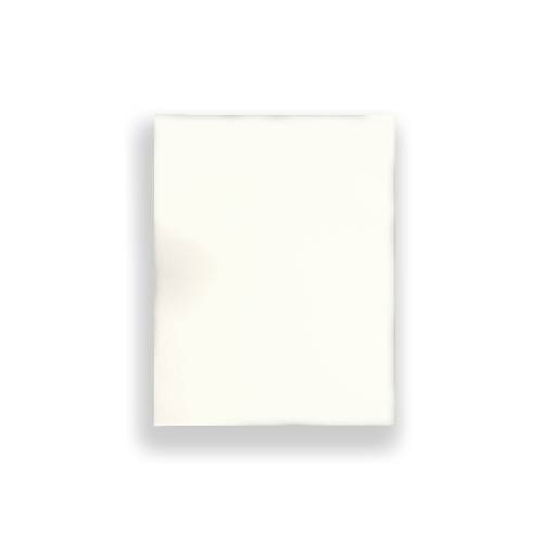 Próbka płyta meblowa EGGER W1000 ST9 Biały premium 18 mm 250 x 200