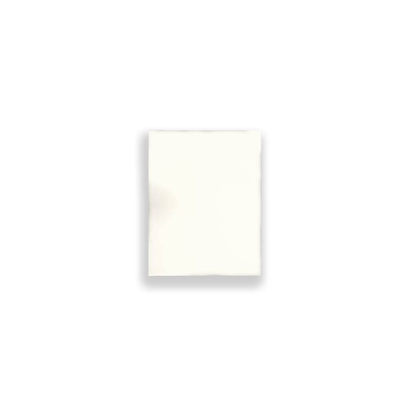 Próbka płyta meblowa EGGER W1000 ST9 Biały premium 18 mm 250 x 200