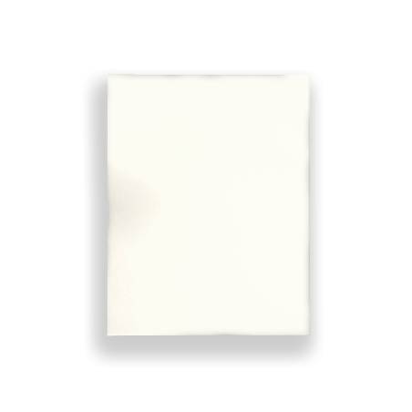 Próbka płyta meblowa EGGER W1000 ST9 Biały premium 18 mm 250 x 200